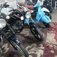 طرح ویو مزایده ای