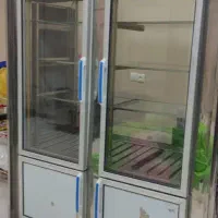 یخچال دو در موتور المانی