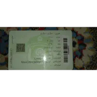 فروش فوری|خودرو سواری و وانت|یاسوج, |دیوار