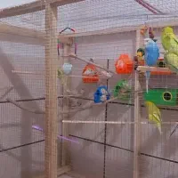 قفس بزرگ مرغ و پرنده