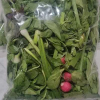 سبزی خوردن بسته بندی شده