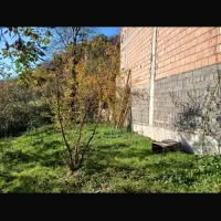 فروش زمین ییلاقی با ویو دار