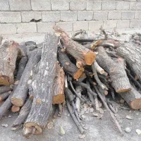 خریدار چوب همه نوع|خدمات باغبانی و درختکاری|تهران, دهکده المپیک|دیوار