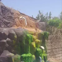 زیبا سازی باغ وویلا|خدمات پیشه و مهارت|تربت جام, میان جام|دیوار