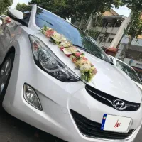 ماشین عروس کلاسیک اسپرت  کروک در ایران