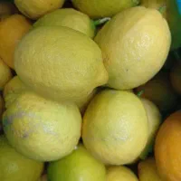 لیموخارگی مخصوص رستوران و بیرون بر