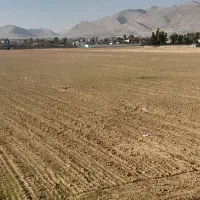 یک-هکتار-زمین