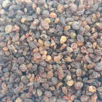 کشمش ممتاز|خوردنی و آشامیدنی|کرمانشاه, |دیوار