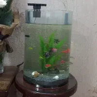 آکواریوم عرض ۳۰ هست