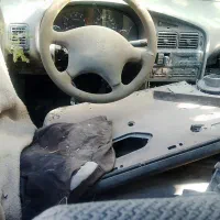 تاکسی اسقاط مدل86توضیحات بخوانید|خودرو سواری و وانت|فاضل آباد, |دیوار