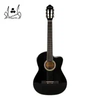 دیاموند گیتار|گیتار، بیس، امپلیفایر|اردبیل, |دیوار