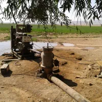 اجاره زمین کشاورزی