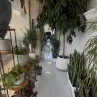 پذیرش خانم و آقا در تیم فروش