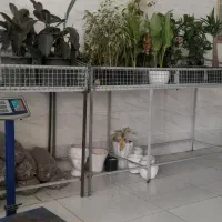 سبد میوه فروشی با قوطی نو و فنس نو ساخته شده|فروشگاه و مغازه|گنبد کاووس, |دیوار