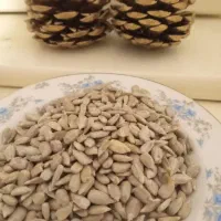 مغز تخمه اعلا