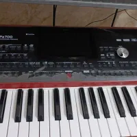 ارگ پی ۷۰۰ در حدصفر|پیانو، کیبورد، آکاردئون|کهنوج, |دیوار