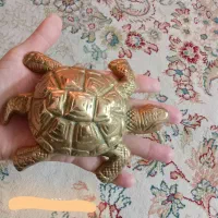 لاک پشت برنجی یک جفت خیلی قدیمی