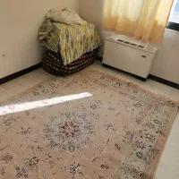 نیاز-به-همخونه-موجه-دارم
