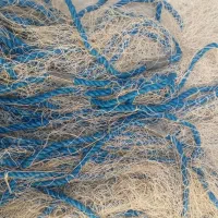 تور|ماهیگیری|کازرون, |دیوار