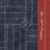 فروش موکت|موکت|رشت, گلسار|دیوار