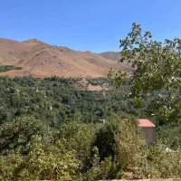 باغ ۲۰۰۰متر سند تک برگی دره مرادبیگ