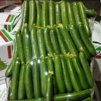 توزیع پخش میوه و تره بار با کمترین قیمت|خوردنی و آشامیدنی|تهران, میدان میوه و ترهبار مرکزی|دیوار