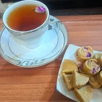 قندونبات