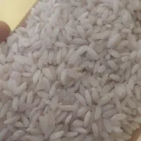 برنج عنبربو درجه یک معطر امسالی سبز و سفید|خوردنی و آشامیدنی|اهواز, بنکداری|دیوار