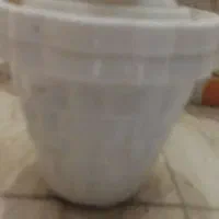 گلدون پلاستیکی گلدار|گل و گیاه طبیعی|قم, انسجام|دیوار