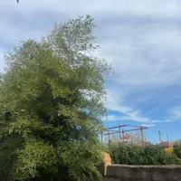 اجاره ویلا تکخواب در فرح اباد|اجارهٔ کوتاهمدت آپارتمان و سوئیت|فرح آباد, |دیوار