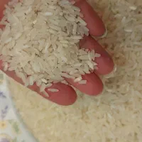 برنج ۵ کیلویی پاکستانی