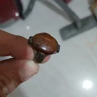 جفت پرنده مرند صوفیان تبریز