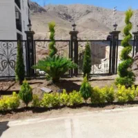 خدمات باغبانی در سراسر کرج و تهران پذیرفته میشود|خدمات باغبانی و درختکاری|کرج, عظیمیه|دیوار