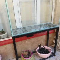فروش اکواریم بزرگ