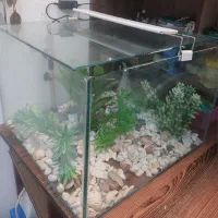 آکواریوم با تمام وسایل لازم