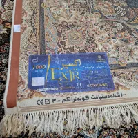 فرش ۹ متری|فرش|مراغه, |دیوار