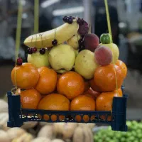 کارگر ساده میوه فروشی