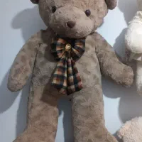 ۴مدل خرس
