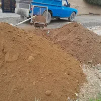 اصلاح خاک باغچه کودنهال ماسه بادی