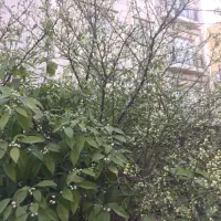 آپارتمان-فرصت-استثنایی