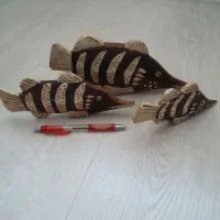 حراج عمده مجسمه چوبی وارداتی|مجسمه، تندیس، ماکت|تهران, سبلان (لشگر)|دیوار