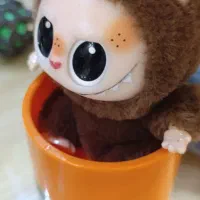 لبوبوی دست دوم اصل