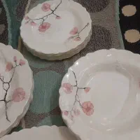 ظرف غذا خوری