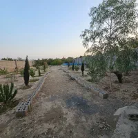 فروش باغ در قلعه سفید ـ نجفآباد