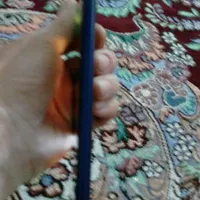 گوشی سامسونگ A03S|موبایل|رودسر, |دیوار