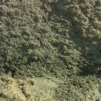 یونجه خرمن کوب درجه ۱