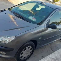 ۲۰۶ تیپ ۲ مدل ۹۴ درجه یک خانگی