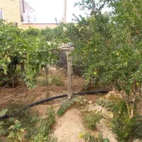 خانه باغ اجازه ای