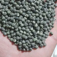 بذر بامیه سفید چرداول