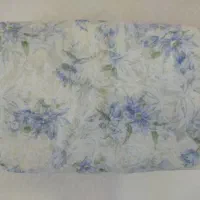 چادر حریر عروس|لباس|شیراز, طلاب|دیوار